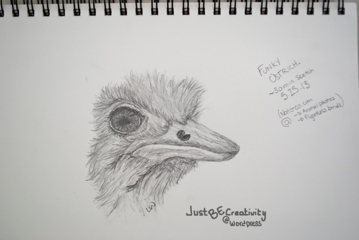 Funky Ostrich. Graphite on Paper. May 25, 2013.
